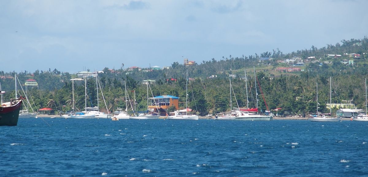 prince rupert bay mooring field